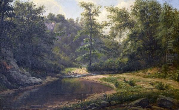 Landscape, River Ford in Woods - view 1