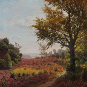 Moor Landscape Moor Landscape