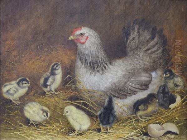 Hen with Baby Chicks - view 1