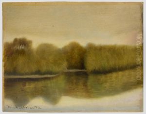 Florida Cypress by Ben Austrian