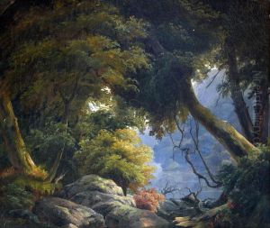 Landscape Study Landscape Study