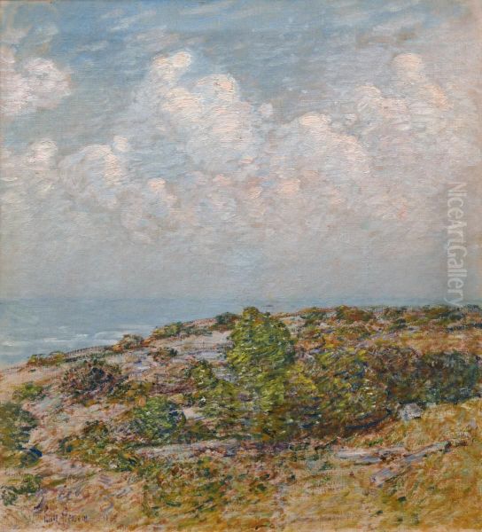 Beach at East Hampton - view 1