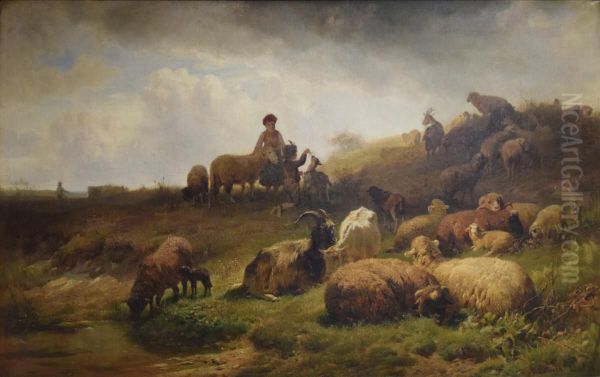 Sheep - view 1
