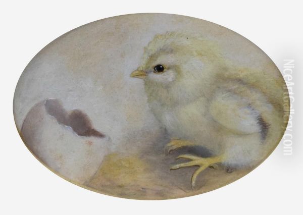 Chick with Egg Shell - view 1