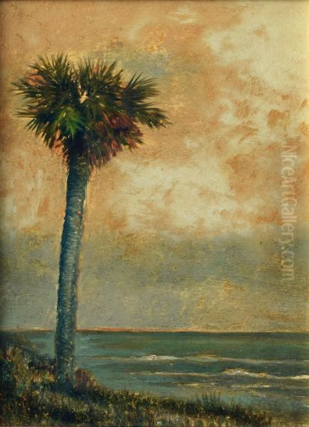 Palm by the Sea - view 1