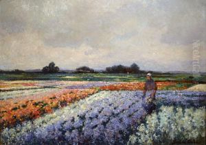 Flower Fields Flower Fields