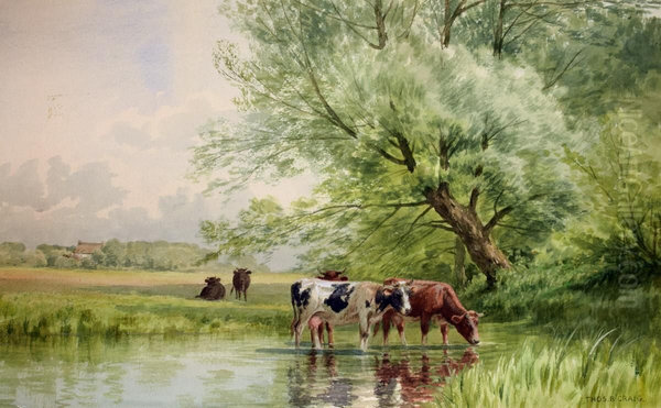 Cattle in the Stream - view 1