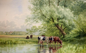 Cattle in the Stream Cattle in the Stream