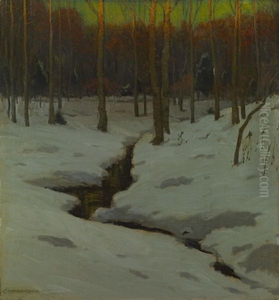 Winter Woods - view 1