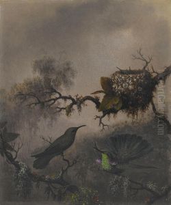 White-vented Violet-ear by Martin Johnson Heade