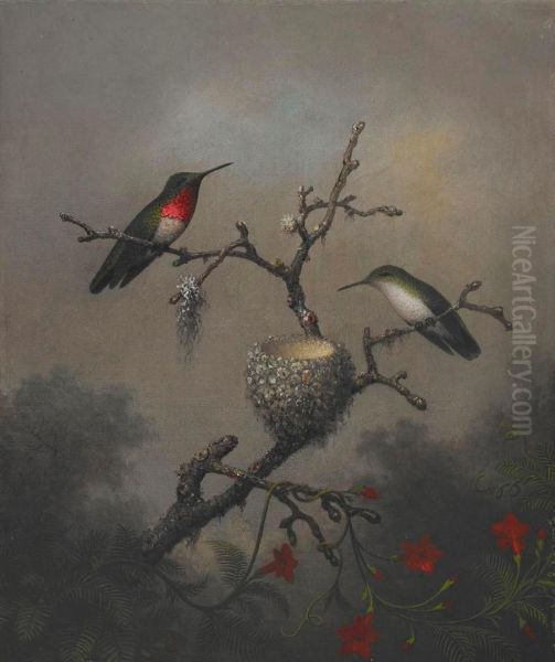 Ruby-throated Hummingbird - view 1