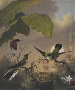 Black-eared Fairy by Martin Johnson Heade