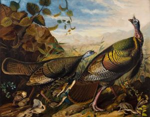 Wild Turkey Cock, Hen and Young by John James Audubon