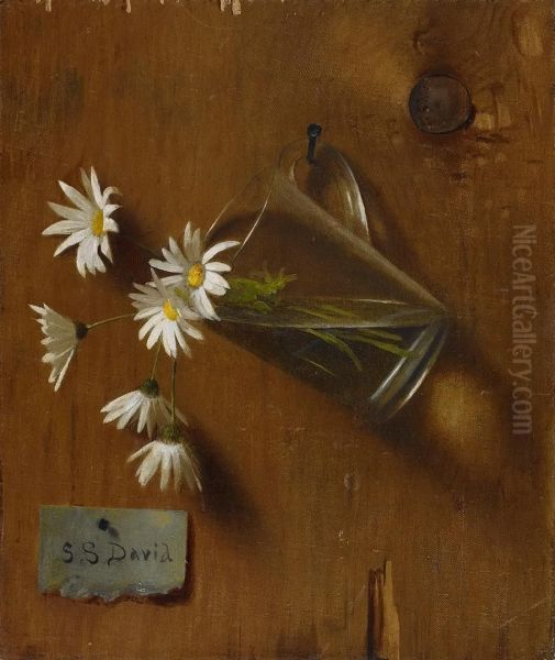 Daisies - view 1