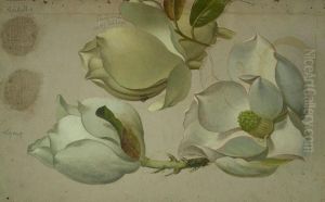 Study of Three Magnolia Blossoms by Martin Johnson Heade