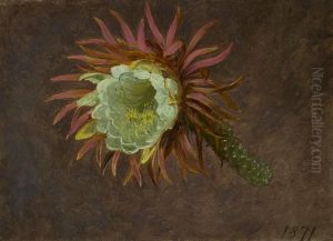 Study of a Night-Blooming Cereus by Martin Johnson Heade