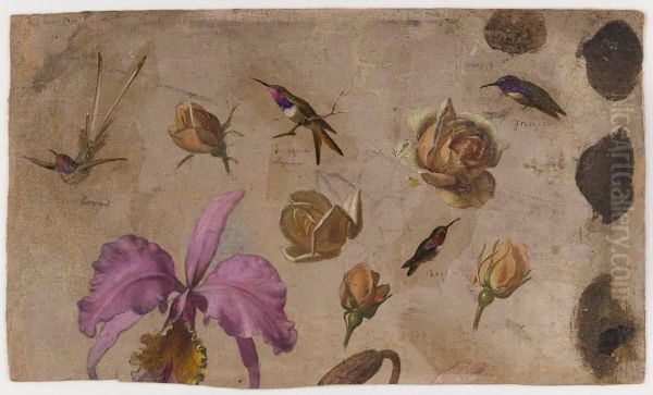 Study of Four Hummingbirds with Roses and an Orchid - view 1