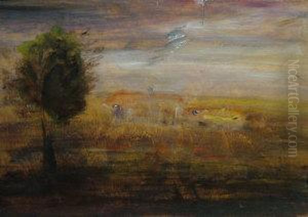 Landscape Study - view 1