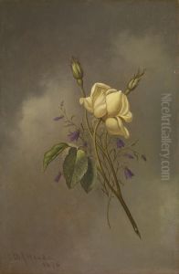 A Yellow Rose Against a Cloudy Sky