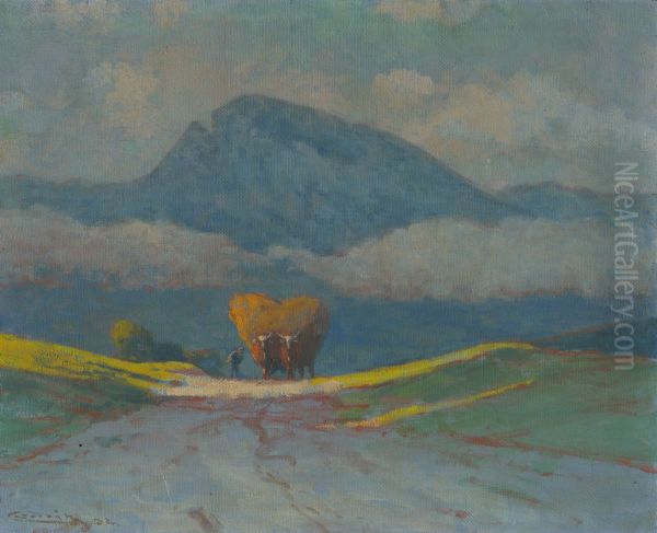 Zvazanie sena - view 1