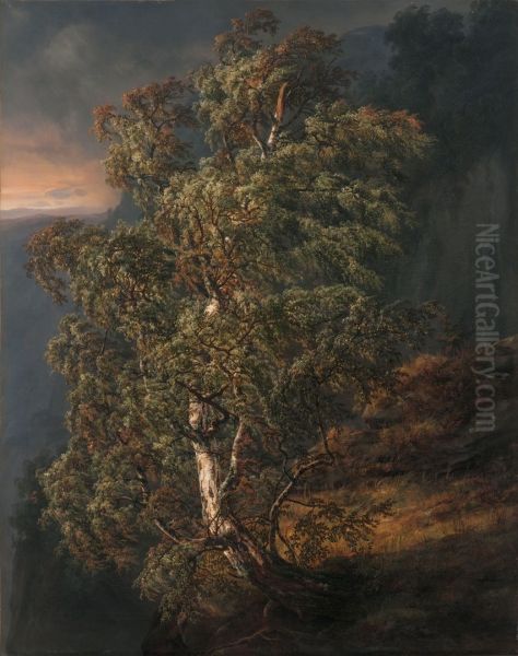 Birch Tree in a Storm - view 1