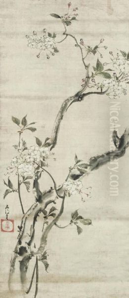 Flowering Cherry Branch - view 1