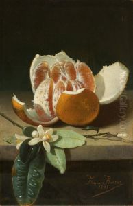 Naranja abierta y azahar by Rafael Romero Barros