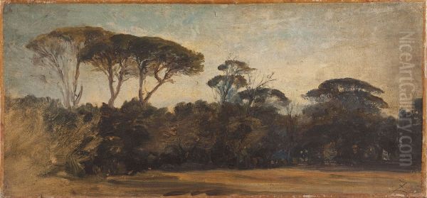 Pins parasols aux environs de Naples - view 1