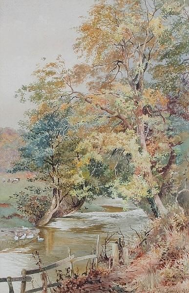 A Wooded Stream With Ducks - view 1