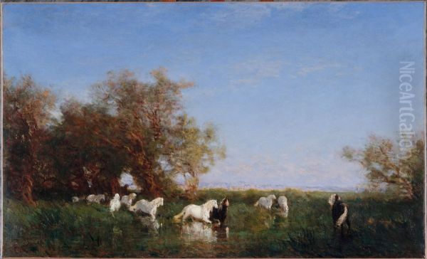 Chevaux sauvages en Camargue - view 1