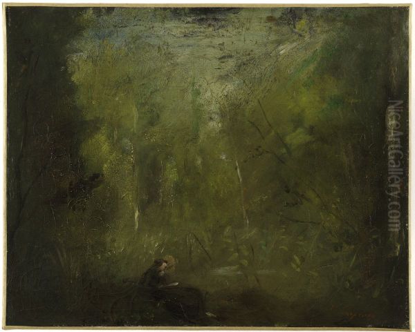 Solitude, la foret - view 1