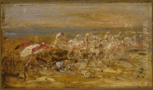 Flamants - view 1