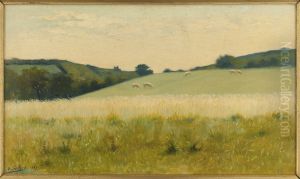Dans les champs de Dielette (Manche) Dans les champs de Dielette (Manche)