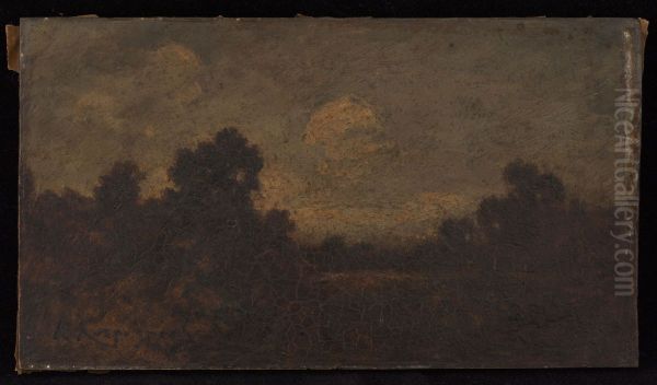 Sous bois - view 1
