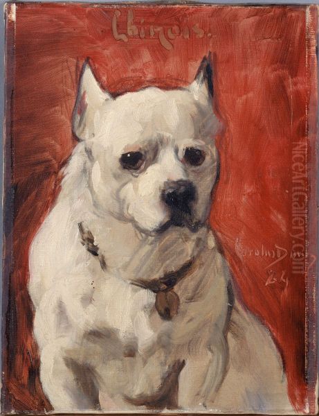 Le chien "chinois" - view 1