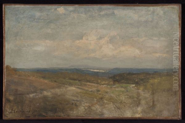 Paysage de collines - view 1