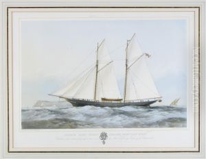 Schooner Yacht 'lady Busk'; Yacht 'meriel' by Hans Busk