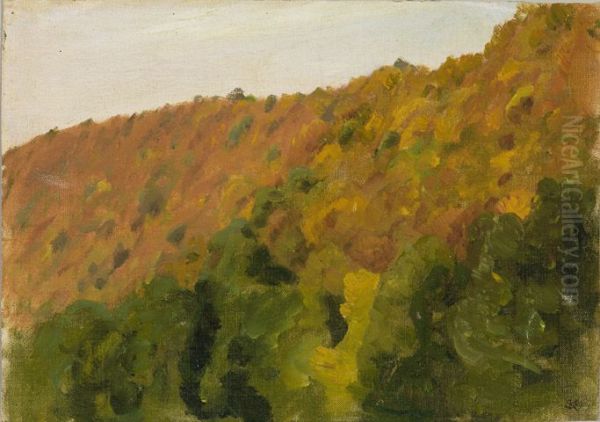 Herbstwald im Barental - view 1