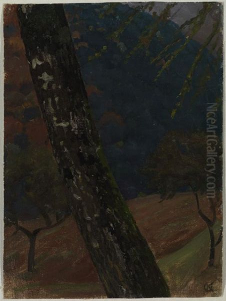 Baumstamm bei Obersteinbach - view 1
