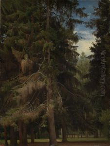 Clearing in the fir forest by Johann Wilhelm Schirmer