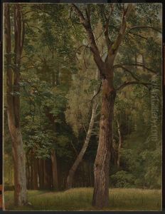 Laubwald mit Kastanien und Birken