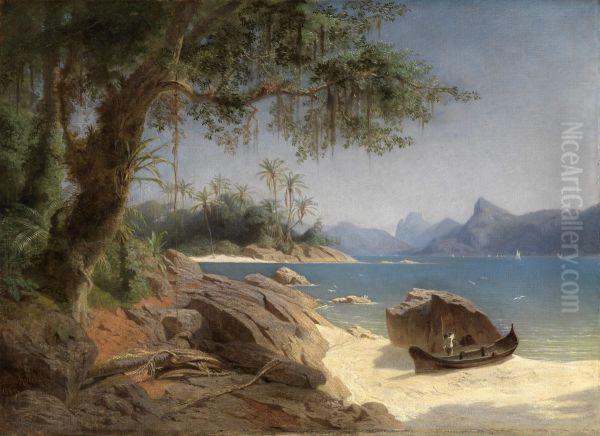 Coastal landscape at Rio de Janeiro - view 1