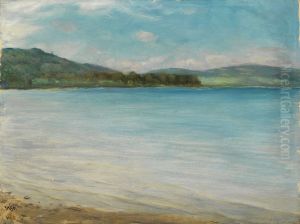 Am Bodensee