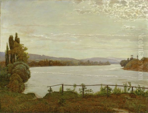 Morgen am Oberrhein bei Sackingen - view 1