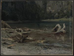 Der Feldsee Der Feldsee