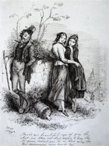 The Gentleman Traveller by Robert William Buss
