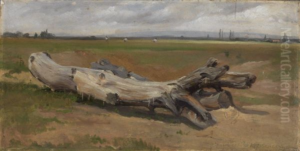 Baumstamme an der Ziegelhutte - view 1
