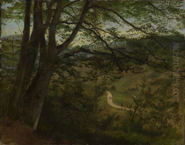 Blick durch Baume und Gestrauch auf Tal - view 1
