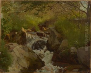 Bach zwischen Felsen by Hans Thoma