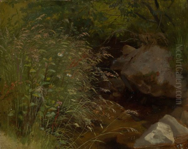 Graser am Bachrand - view 1